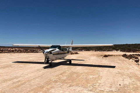 Kalbarri Gorges & West Coast - Ground & Air Tour - Accommodation Sydney 4