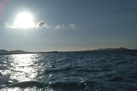 Townsville Small Group Early Morning Sailing Cruise Boat Tour Charter Hire - Sydney 4u 4