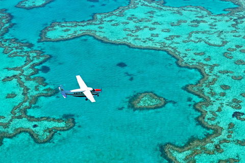 Reef And Island Scenic Flight From Airlie Beach - Accommodation Sydney 4