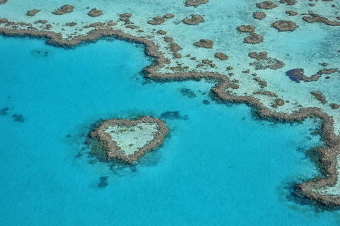 Reef And Island Scenic Flight From Airlie Beach - Accommodation Sydney 5