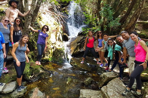 7-Day Super Value Tour Of Tasmania: Explore Tasmania's West And East Coasts - Sydney 4u 2