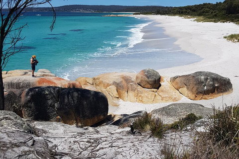 2-Day Tas East Coast Escape Tour Including Bay Of Fires, Wineglass Bay & Devils - Sydney Resort 4