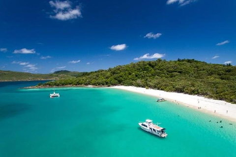 Whitehaven Beach And Hill Inlet | Awesome Beach BBQ | Family Friendly - Accommodation Sydney 3