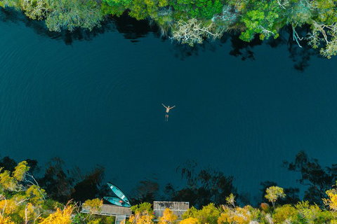 Cruise 'n' Canoe To Australia's Everglades - Accommodation Sydney 2