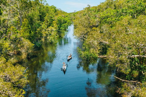 Cruise 'n' Canoe To Australia's Everglades - Accommodation Sydney 3