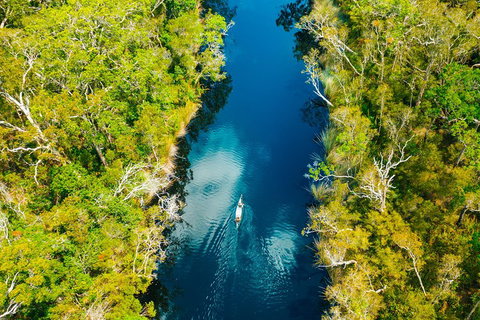 Cruise 'n' Canoe To Australia's Everglades - Accommodation Sydney 4