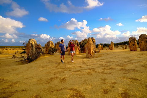 Half Day Pinnacles Sunset Tour - Sydney 4u 1