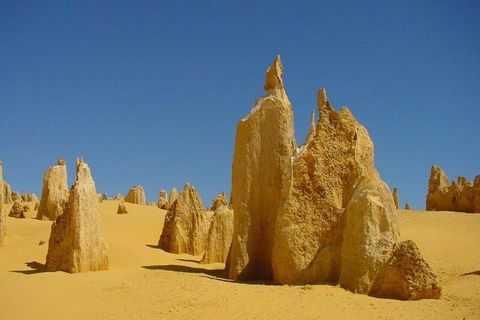 Half Day Pinnacles Sunset Tour - Sydney 4u 2
