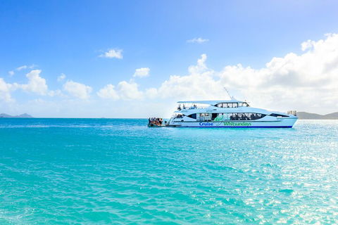 Whitehaven Beach And Daydream Island Cruise - Accommodation Sydney 2