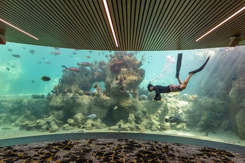 Whitehaven Beach And Daydream Island Cruise - Accommodation Sydney 4