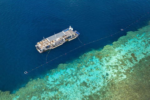 Great Barrier Reef Day Cruise To Reefworld - Accommodation Sydney 2