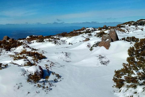 Mount Wellington Ultimate Experience Tour From Hobart - Sydney 4u 1