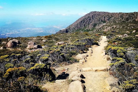 Mount Wellington Ultimate Experience Tour From Hobart - Sydney 4u 5