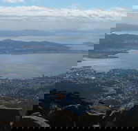 Mt Wellington Tour and MONA Admission - Sydney 4u