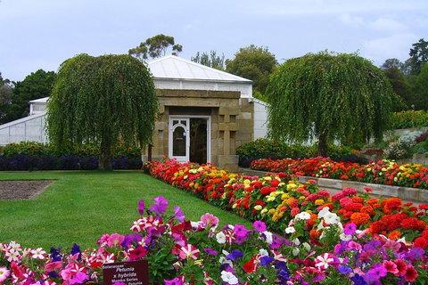 Hobart City Sightseeing Tour Including MONA Admission - Accommodation Sydney 0