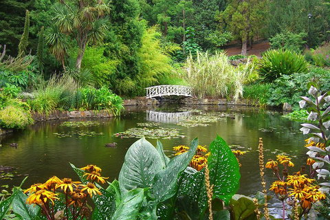 Hobart City Sightseeing Tour Including MONA Admission - Accommodation Sydney 3