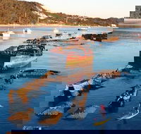 Adventure Moreton Island Wrecks Adventure Package - Accommodation Sydney