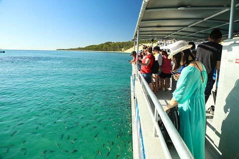 Adventure Moreton Island Wrecks Adventure Package - Sydney 4u 1