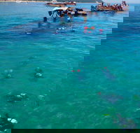 Adventure Moreton Island Scuba Dive Tour - Accommodation Sydney