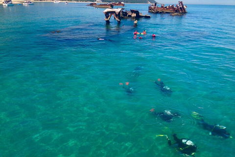 Adventure Moreton Island Scuba Dive Tour - Sydney 4u 0