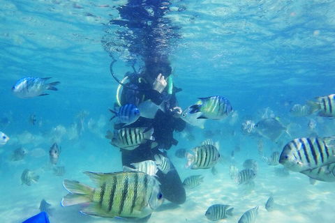 Adventure Moreton Island Scuba Dive Tour - Sydney 4u 1