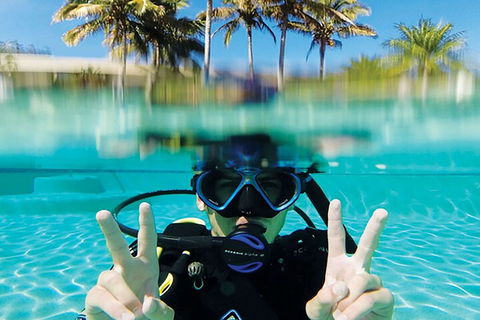 Adventure Moreton Island Scuba Dive Tour - Sydney 4u 2