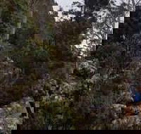 kunanyi / Mt. Wellington Guided Hiking Tour - Sydney 4u