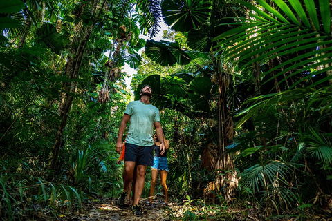 Full Day Daintree Rainforest And Mossman Gorge Tour - Sydney 4u 0