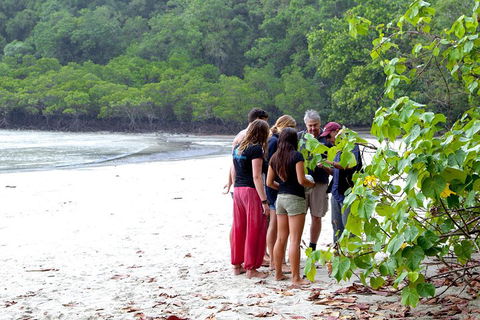 Full Day Daintree Rainforest And Mossman Gorge Tour - Sydney 4u 2
