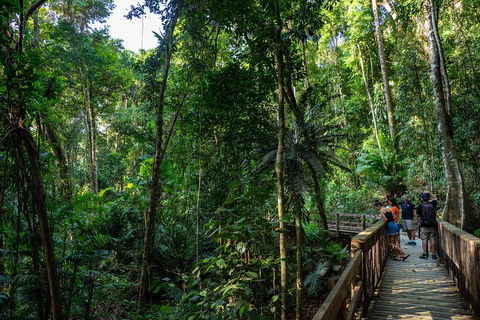 Full Day Daintree Rainforest And Mossman Gorge Tour - Sydney 4u 5
