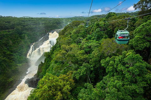 Cairns ATV Adventure Tour And Morning Skyrail - Accommodation Sydney 3