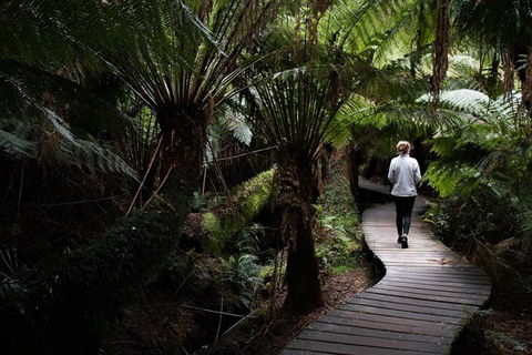 Private Tour Of Melbourne - Sydney 4u 2