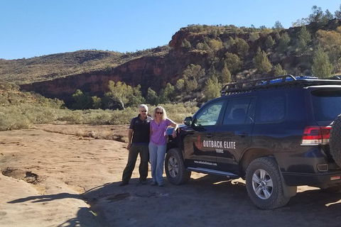 Palm Valley And Hermannsburg 1 Day 4WD Tour - Accommodation Sydney 0