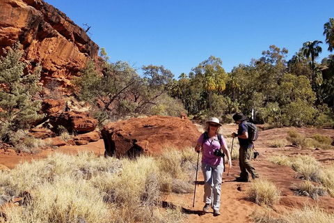 Palm Valley And Hermannsburg 1 Day 4WD Tour - Accommodation Sydney 1