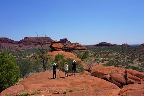 Palm Valley And Hermannsburg 1 Day 4WD Tour - Accommodation Sydney 2