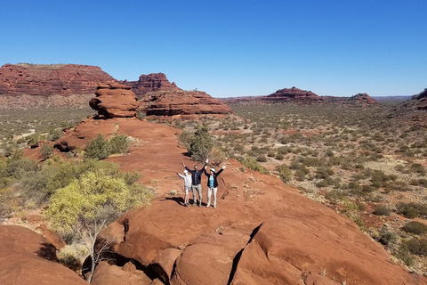 Palm Valley And Hermannsburg 1 Day 4WD Tour - Accommodation Sydney 3