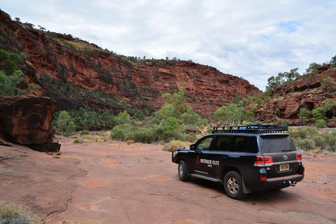 Palm Valley And Hermannsburg 1 Day 4WD Tour - Accommodation Sydney 5