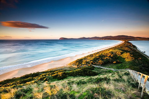 Full-Day Guided Bruny Island Tour From Hobart - Sydney Resort 2