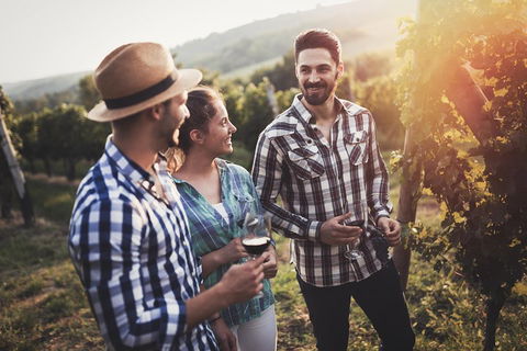Full Day Mount Tamborine Winery Tour From Gold Coast - Accommodation Sydney 5