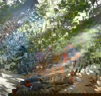 Mossman Gorge Adventure Day - Sydney 4u