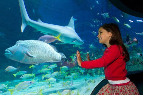 SEA LIFE Melbourne Aquarium Admission Ticket - Accommodation Sydney 1