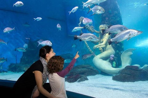 SEA LIFE Melbourne Aquarium Admission Ticket - Accommodation Sydney 4