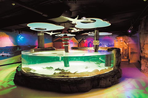 SEA LIFE Melbourne Aquarium Admission Ticket - Accommodation Sydney 5