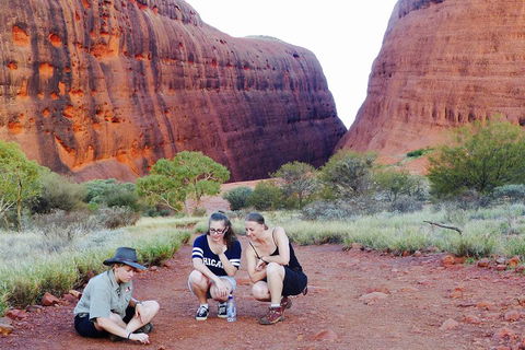Afternoon Kata Tjuta Small Group Tour - Sydney 4u 2