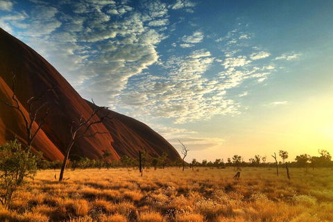 Highlights Of Uluru Including Sunrise And Breakfast - Accommodation Sydney 0