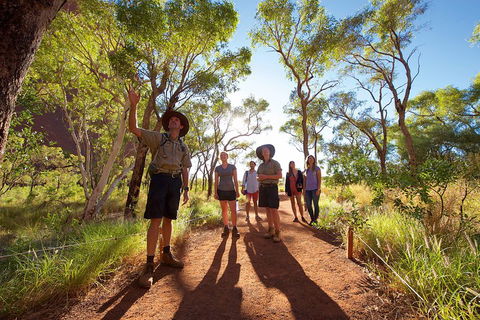 Uluru Small Group Tour Including Sunset - Accommodation Sydney 0