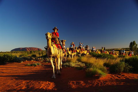 Uluru Small-Group Tour By Camel At Sunrise Or Sunset - Sydney 4u 1