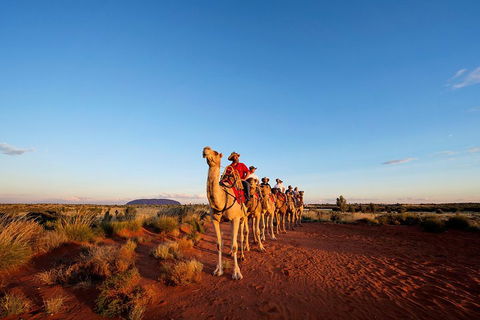 Uluru Small-Group Tour By Camel At Sunrise Or Sunset - Sydney 4u 3
