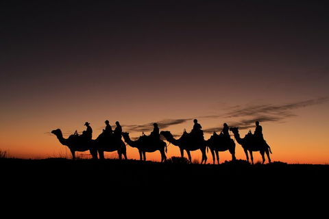 Uluru Small-Group Tour By Camel At Sunrise Or Sunset - Sydney 4u 4
