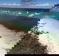 Experience Rottnest with Ferry  Bike Hire from Perth or Fremantle - Sydney 4u